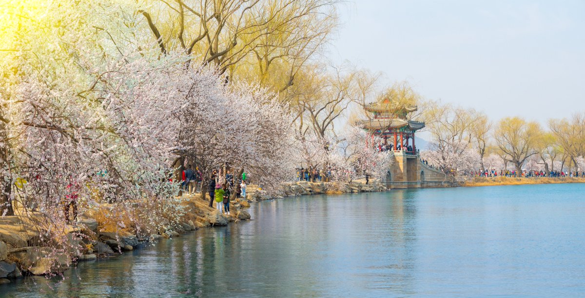 The peach blossoms along the West Causeway of Beijing's Summer Palace are in bloom! Pink and white petals reflect on Kunming Lake, painting a picture of serene spring beauty.