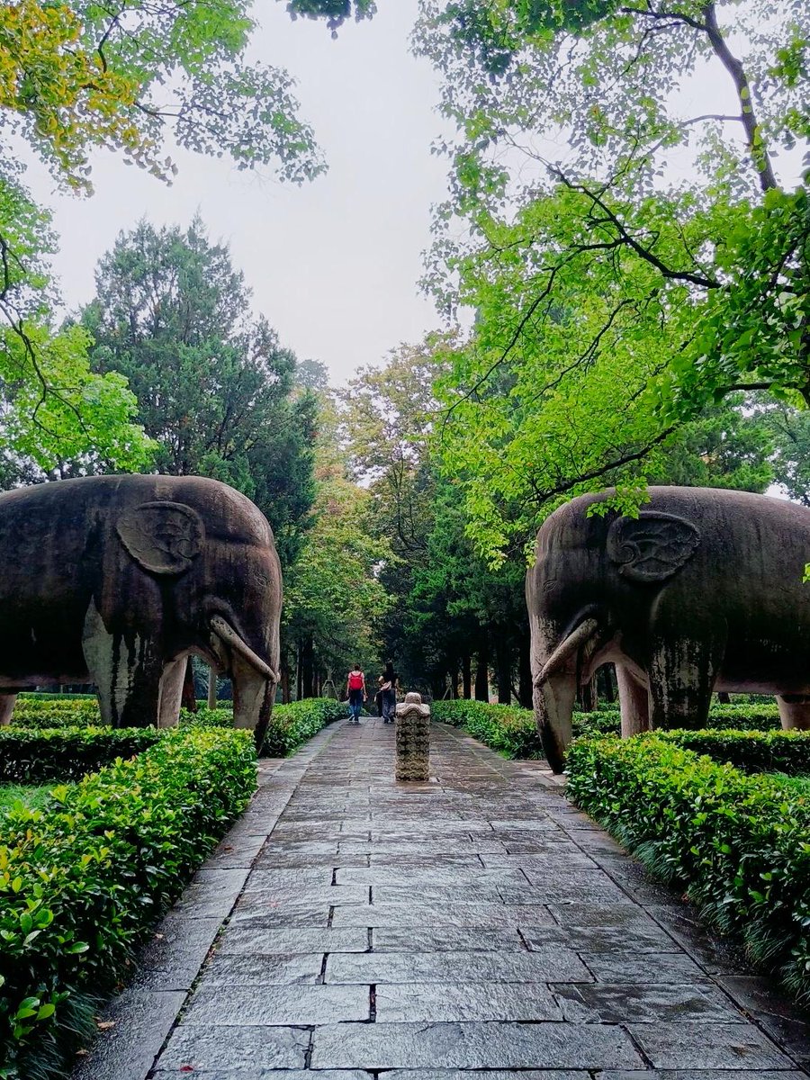 Todd Griffin tweet media