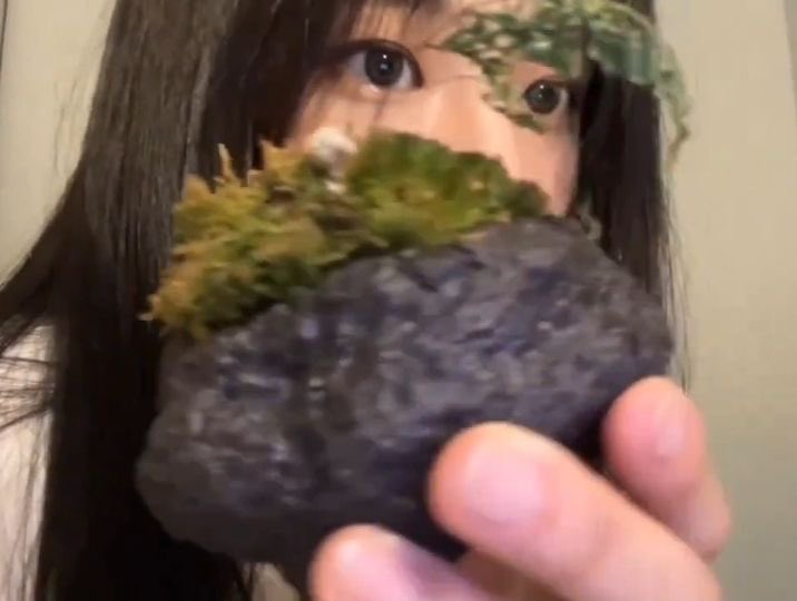 시몽키 tweet media