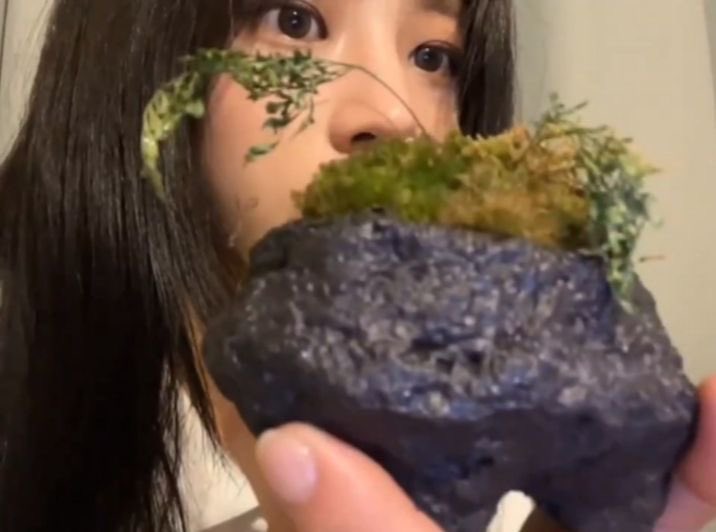 시몽키 tweet media