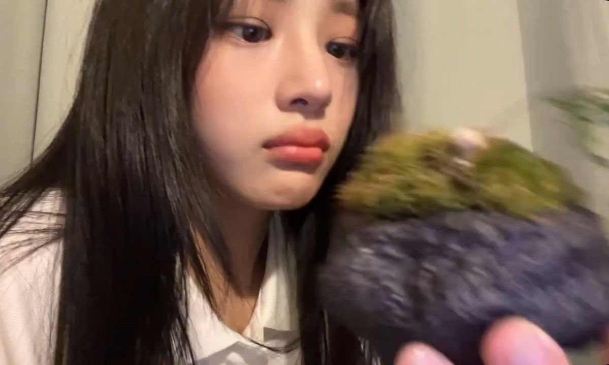 시몽키 tweet media