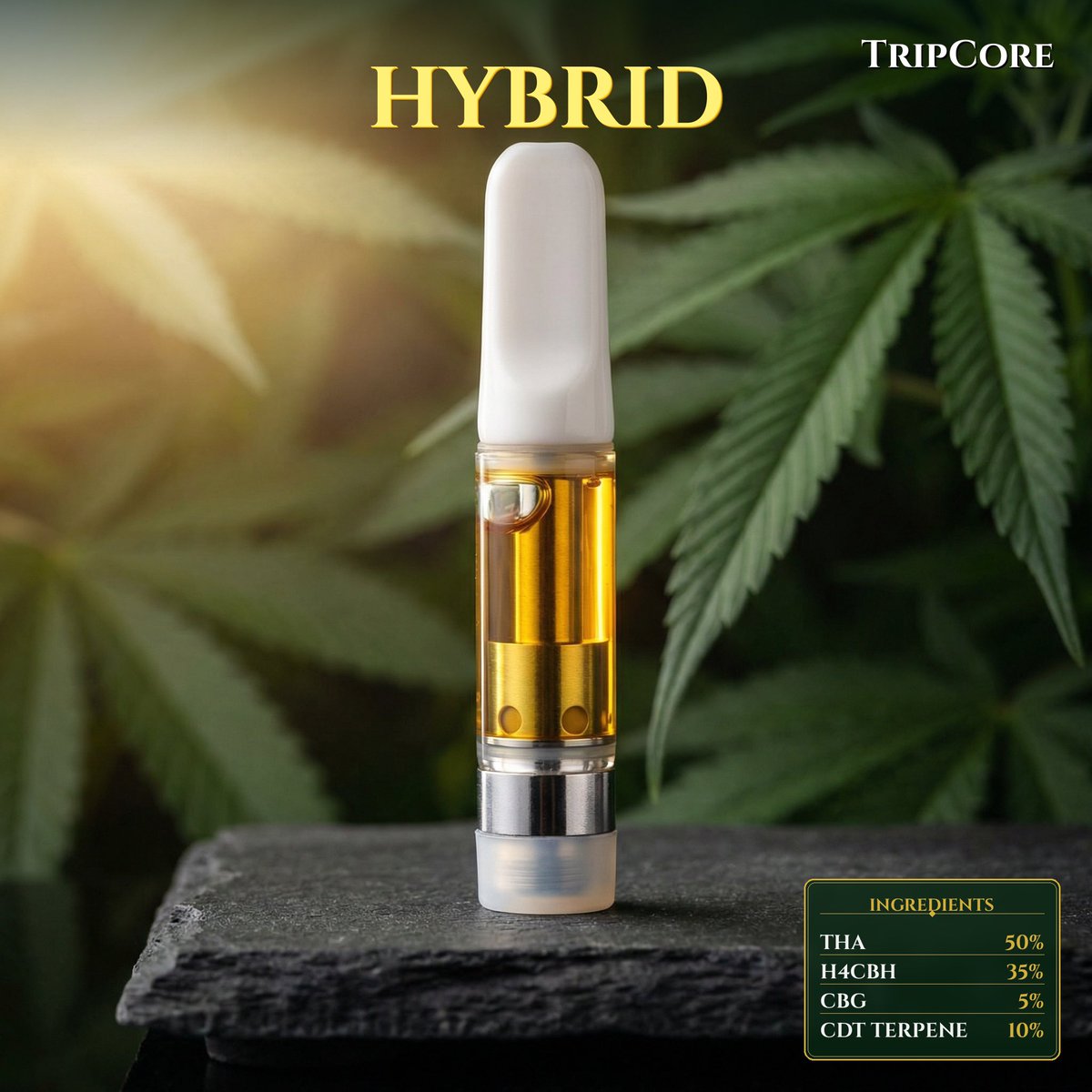 TripCore®︎公式 tweet media