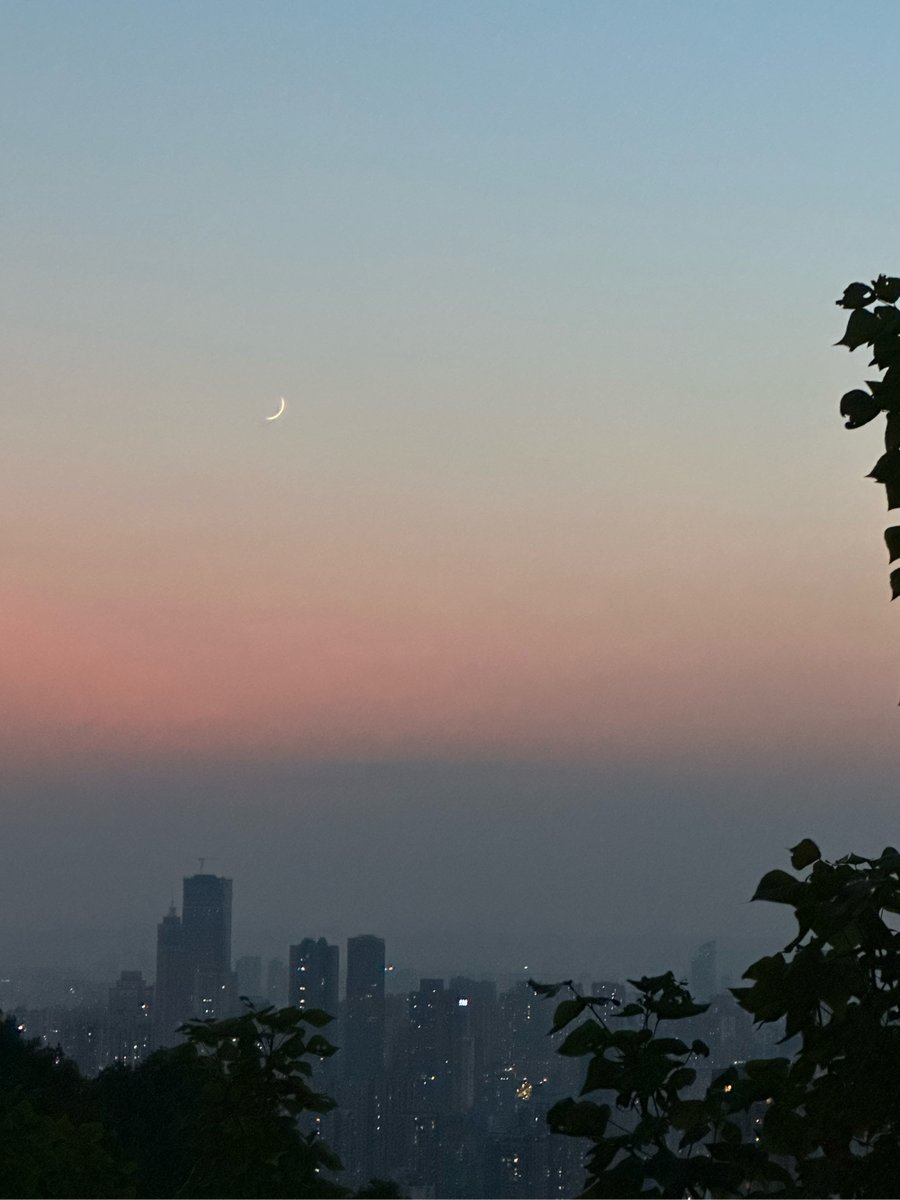 awesomejonis tweet media