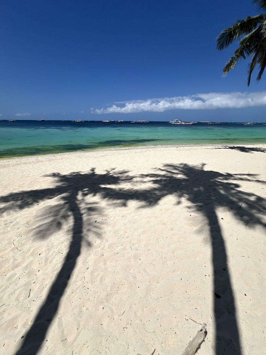 KdYoung03's tweet photo. Day in the life: Beach edition https://t.co/I0DGUjvqmk