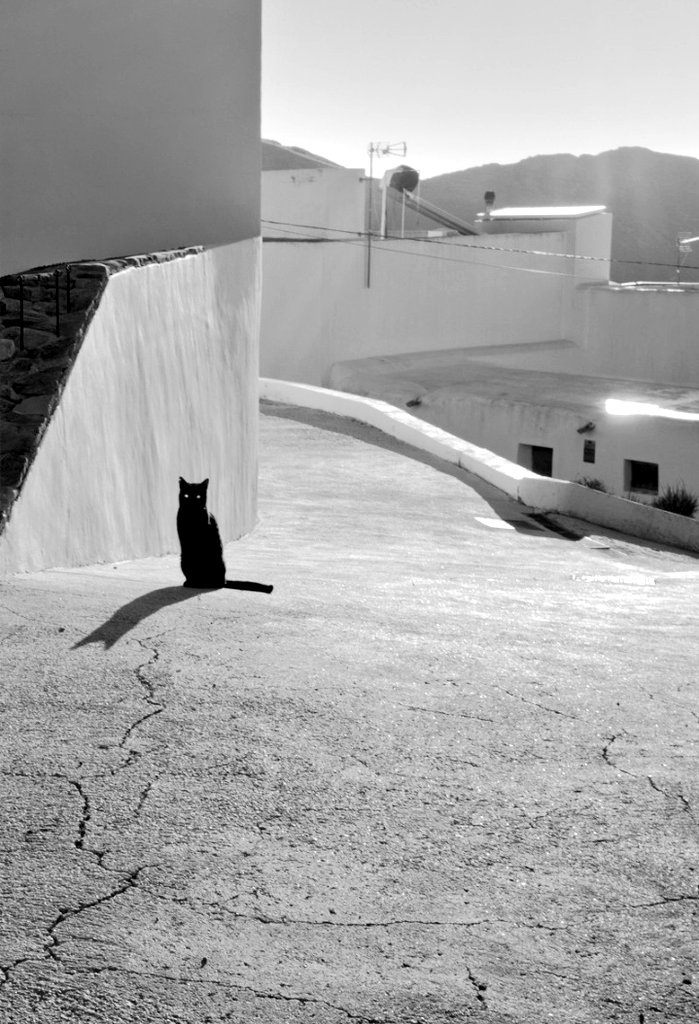 📷 Nicole Duranceau - Lumiere d'Andalousie 🎀