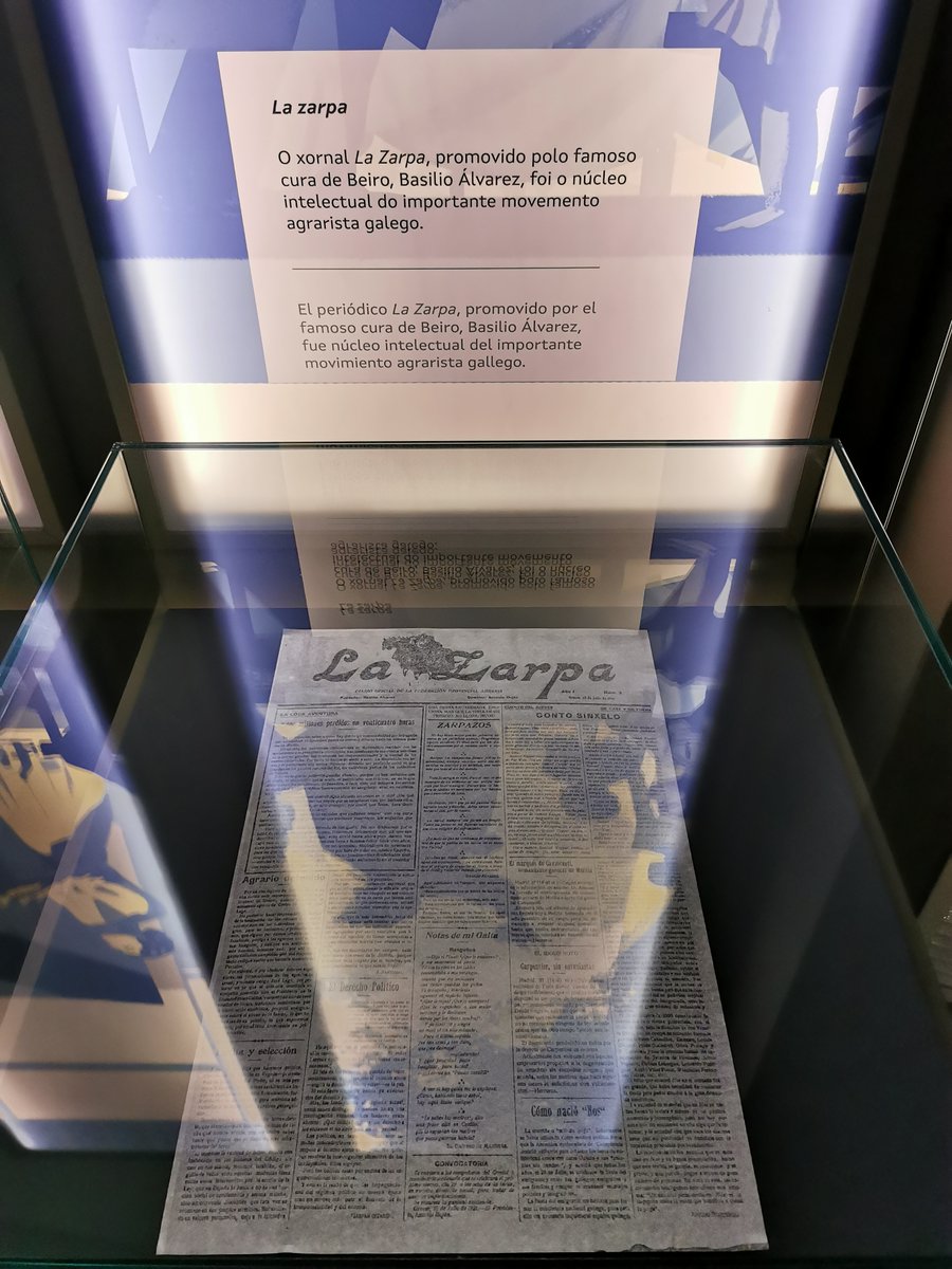 | Dᴀᴠɪᴅ Pᴀᴢ Nᴏ́ᴠᴏᴀ | tweet media