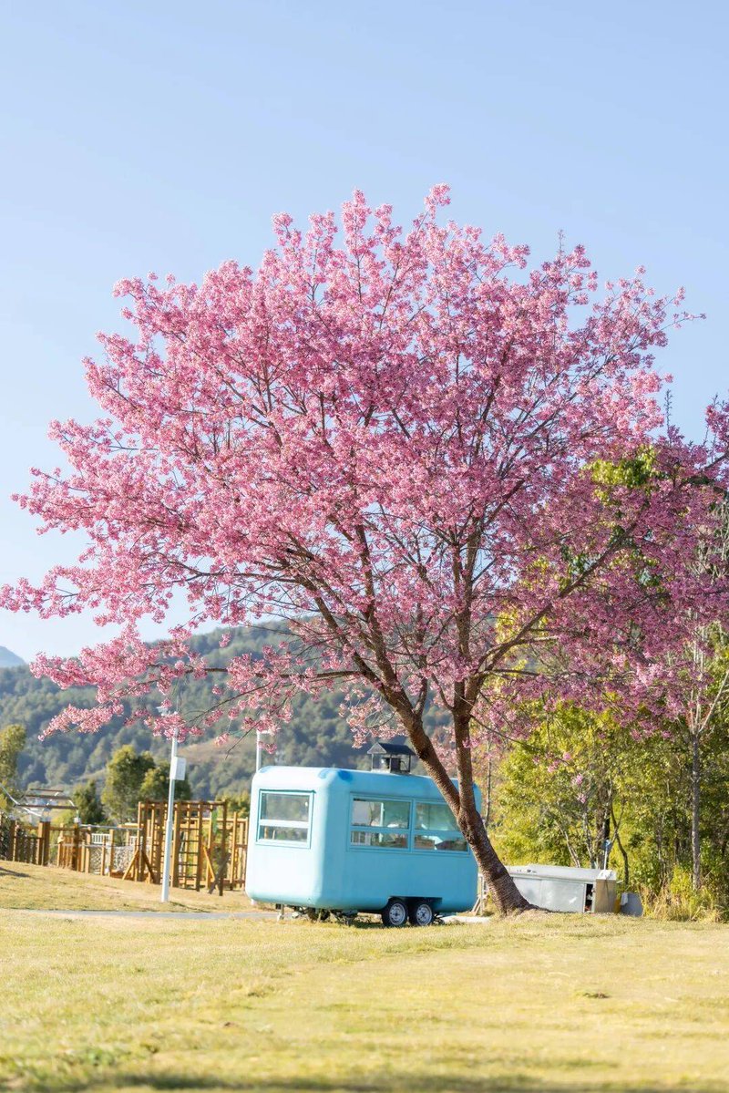 Лера Пилипенко tweet media