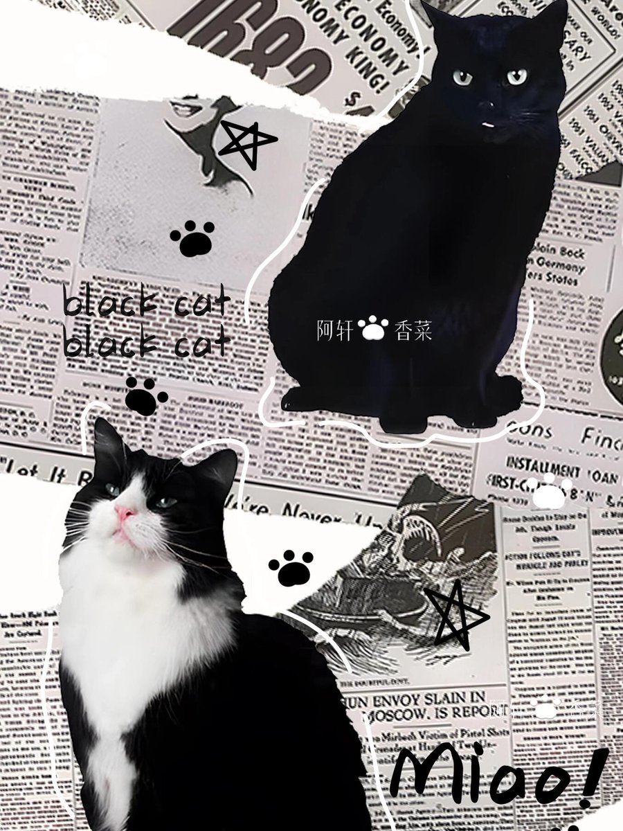 _5h.pop.madness tweet media