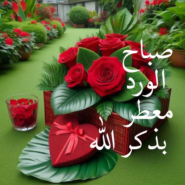 زمهرير امرأة .. tweet media