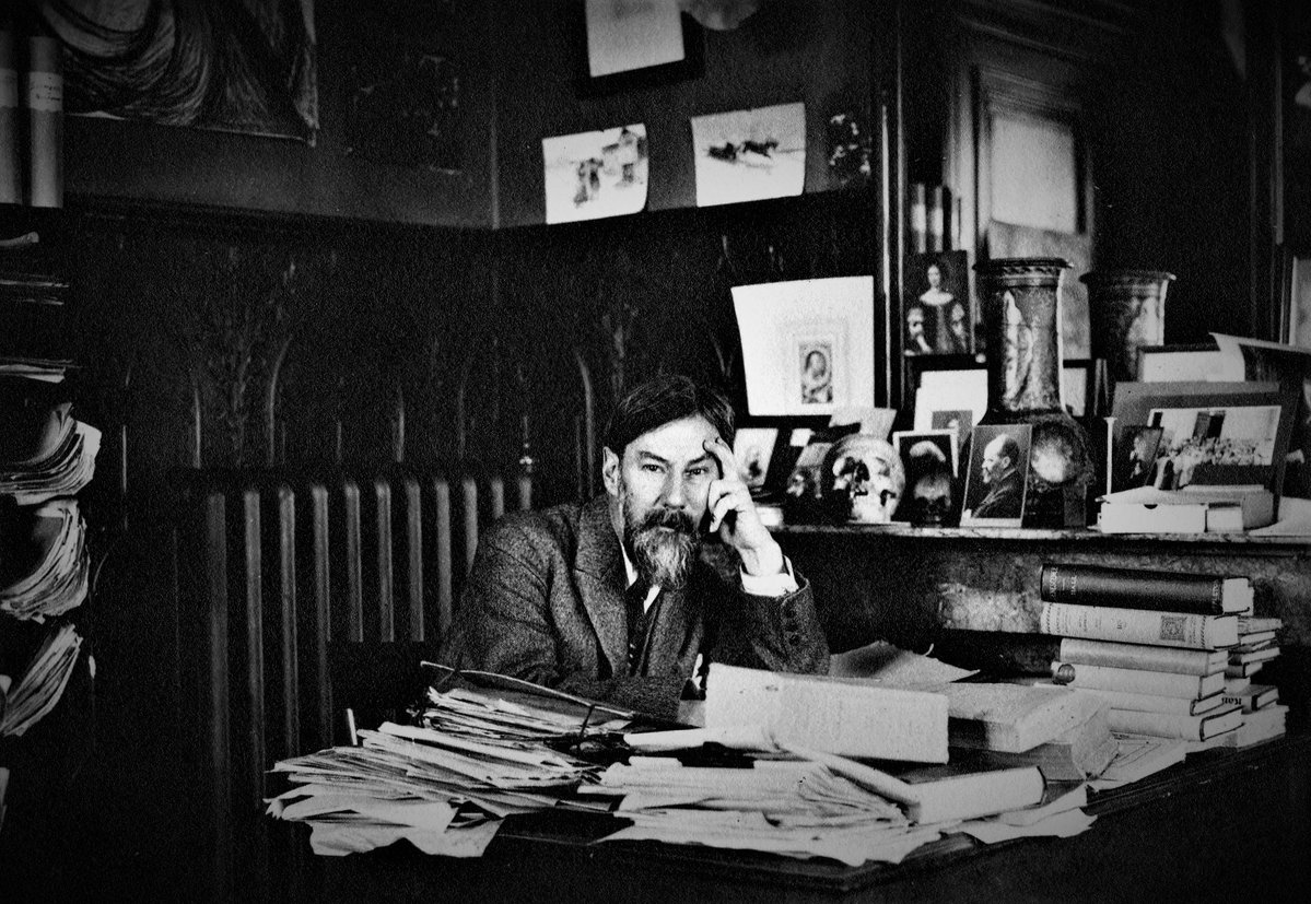 David Webb tweet media