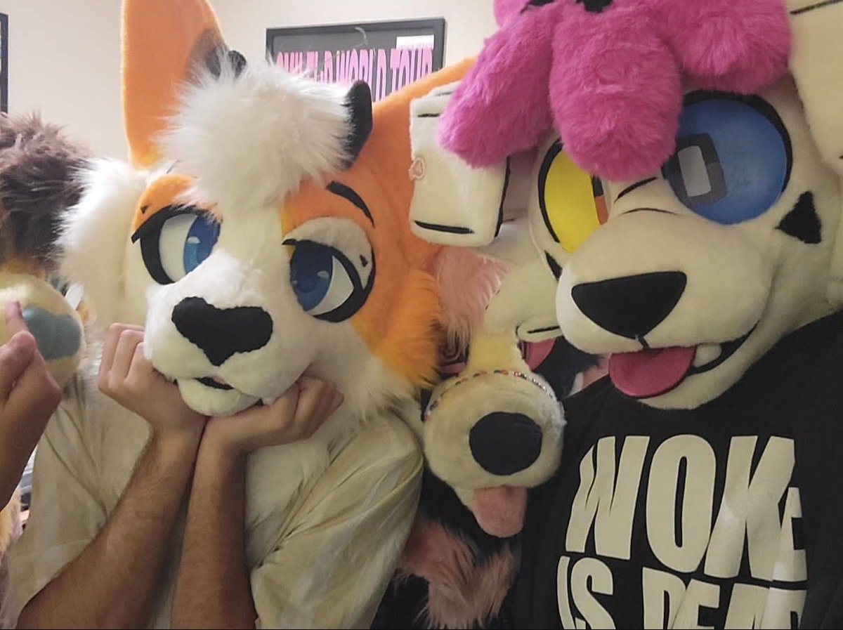 Coolersnc tweet media