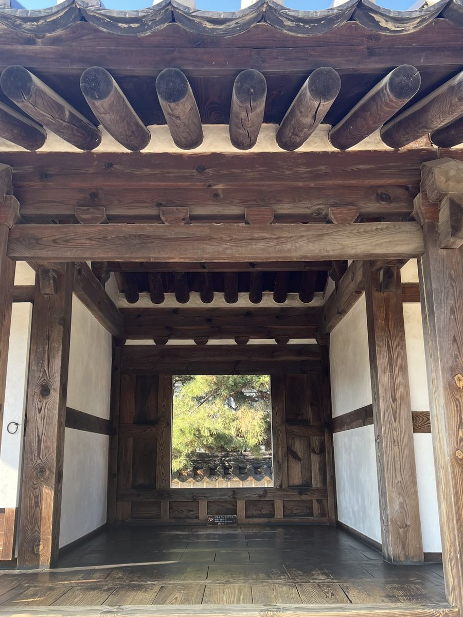 ビギナー tweet media