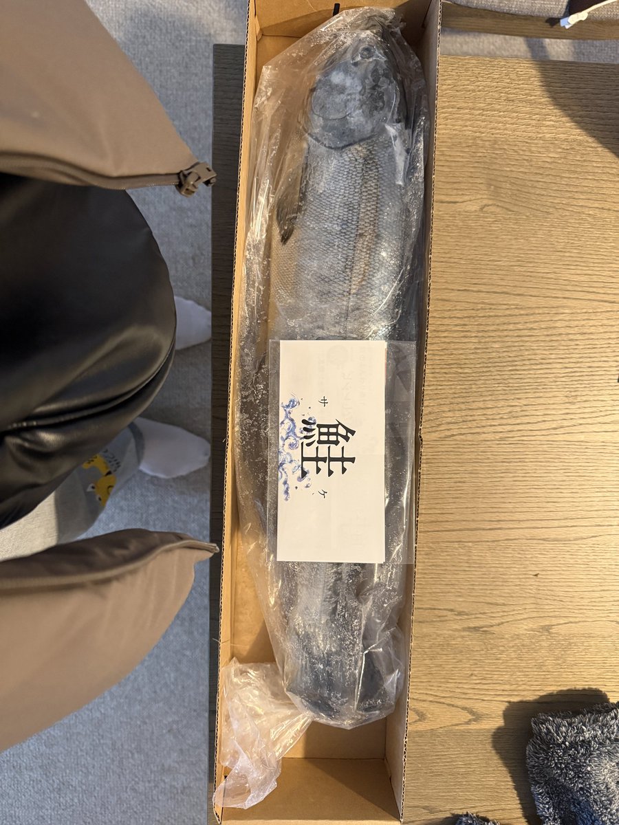 磯貝龍乎 tweet media