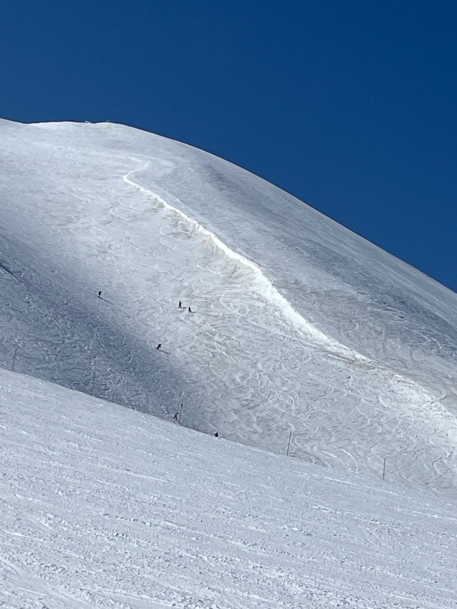 川合慶 tweet media