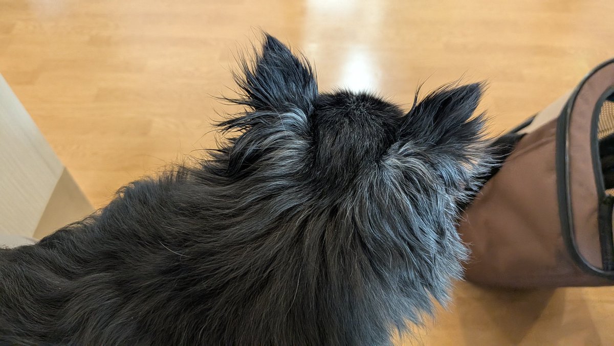 ポテト・スマッシャー tweet media