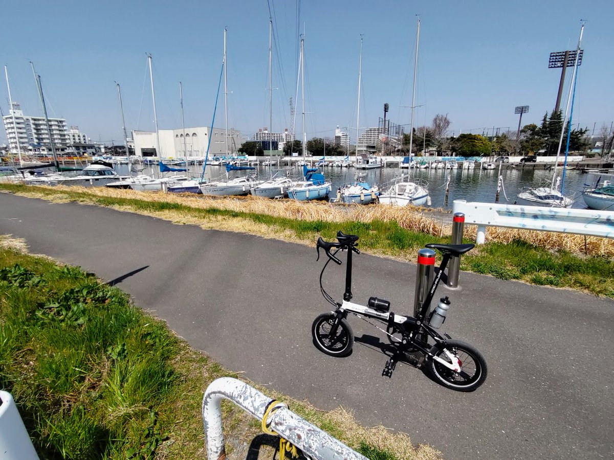 ちゃりぼっち tweet media