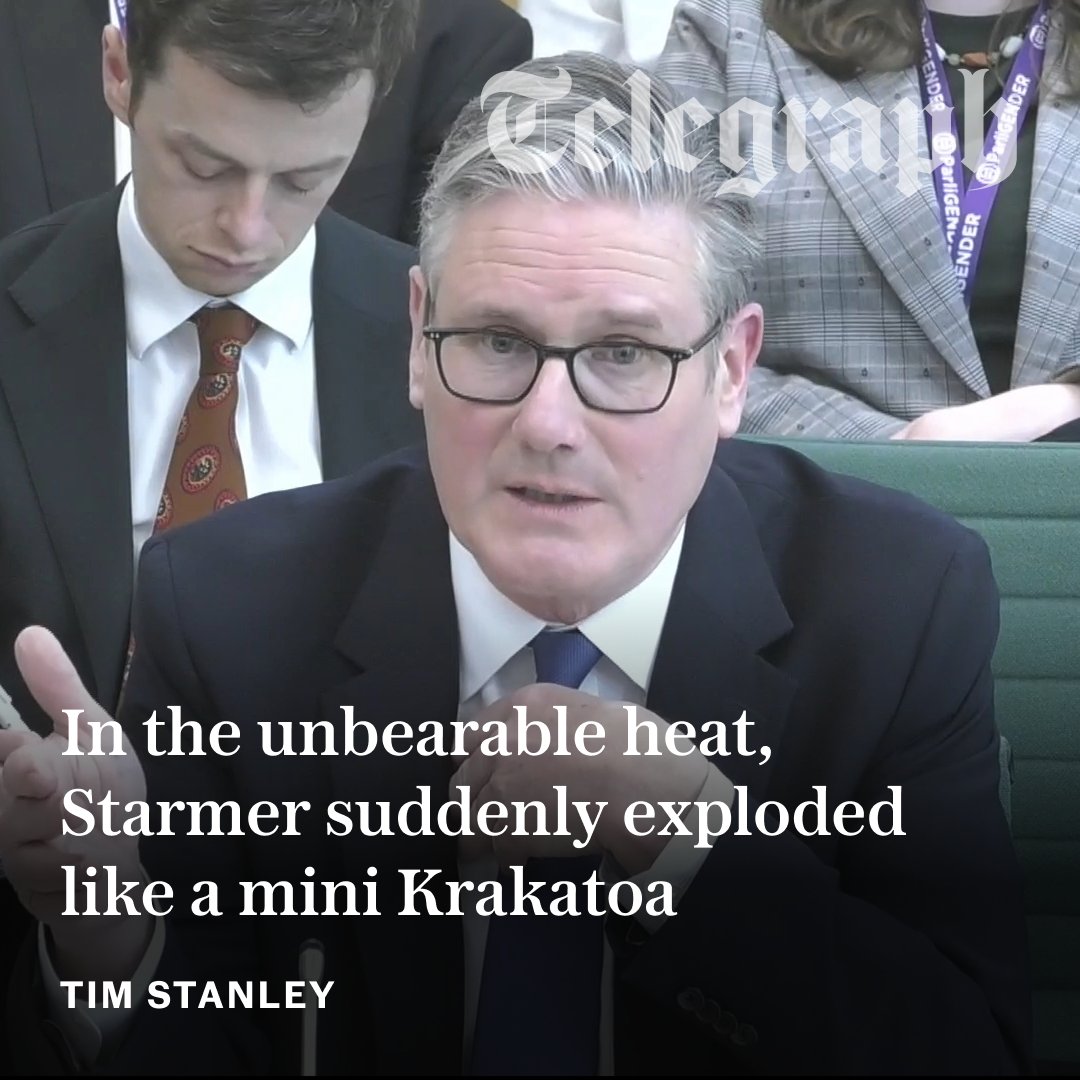 The Telegraph tweet media