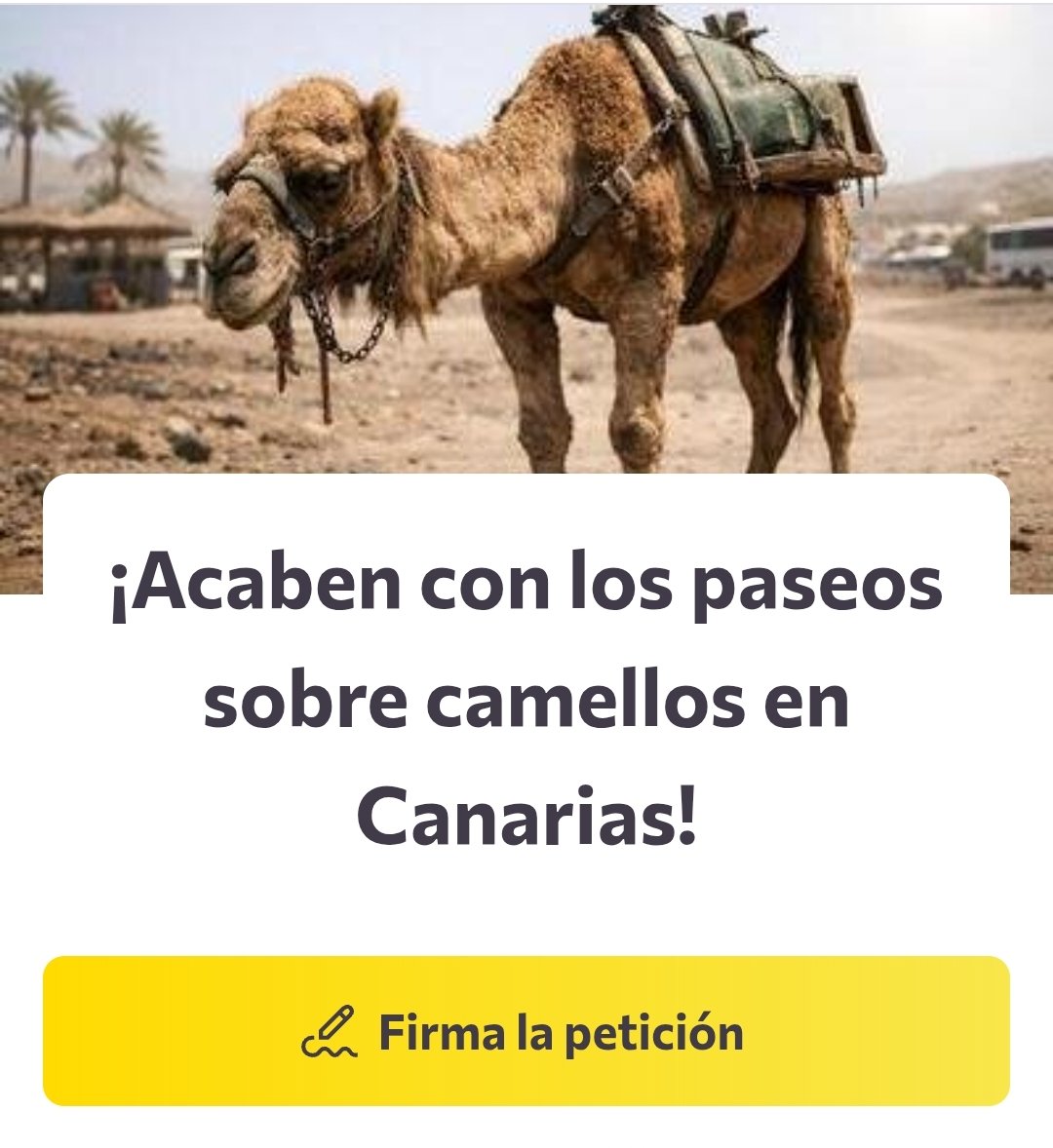 Rubén Pérez tweet media