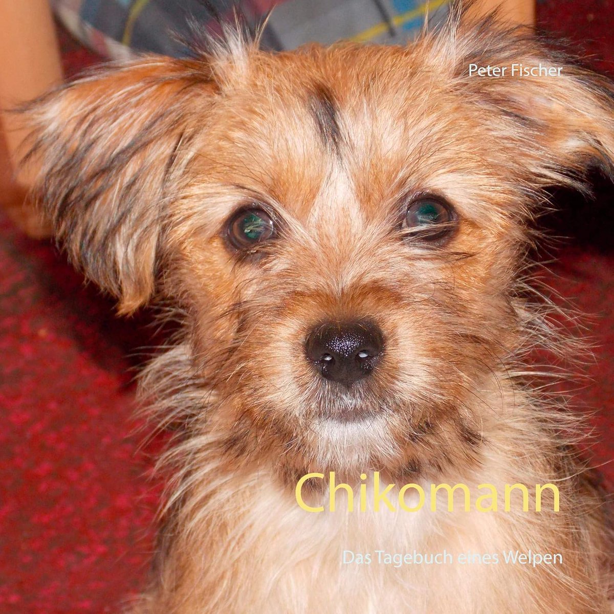 Peter S. Fischer tweet media