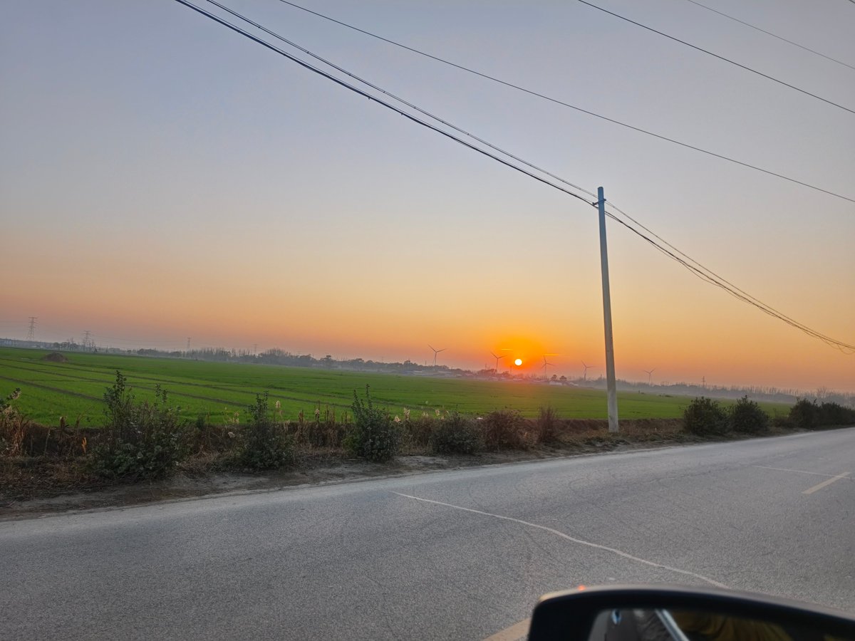 CemalTas tweet media