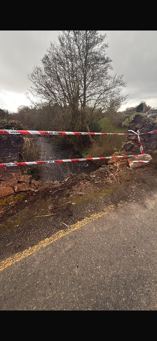 Niall Botty O'Callaghan tweet media