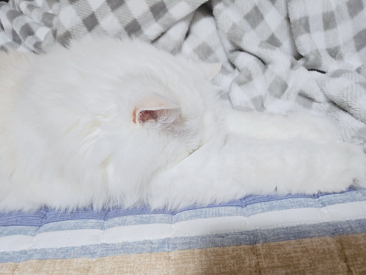 외더ʷᵃʸ💫 tweet media