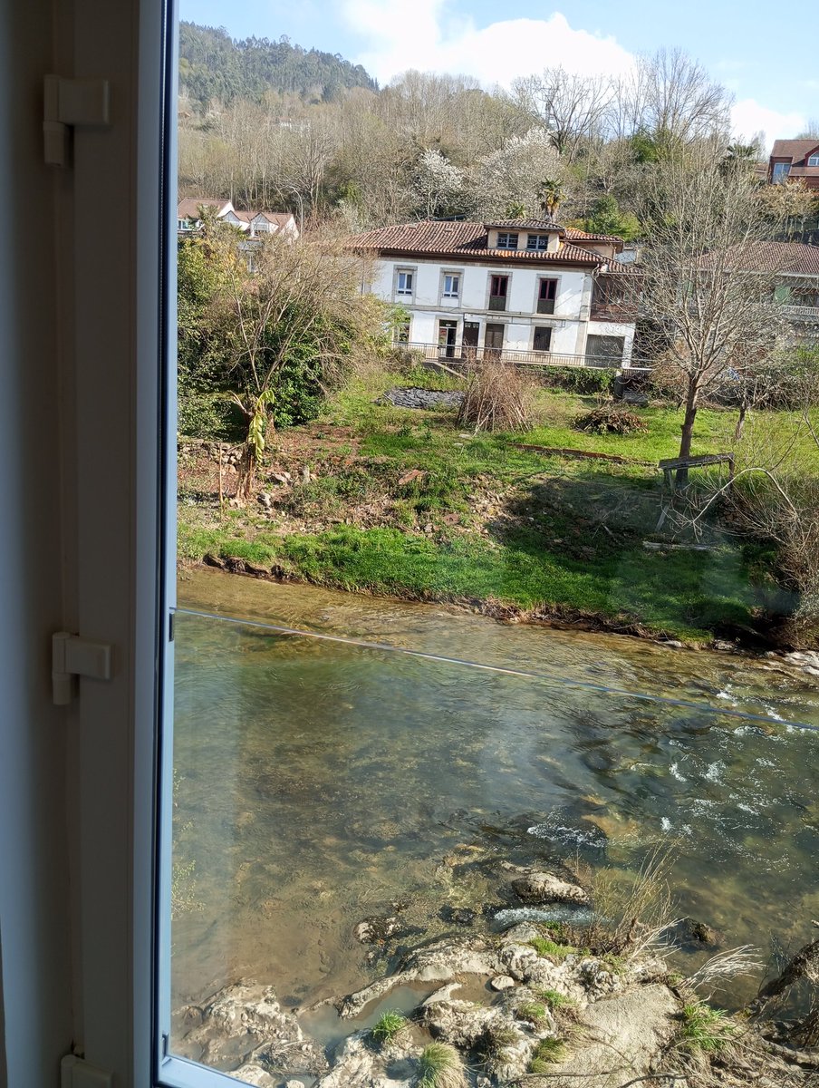 Lucía Cuesta blanco tweet media