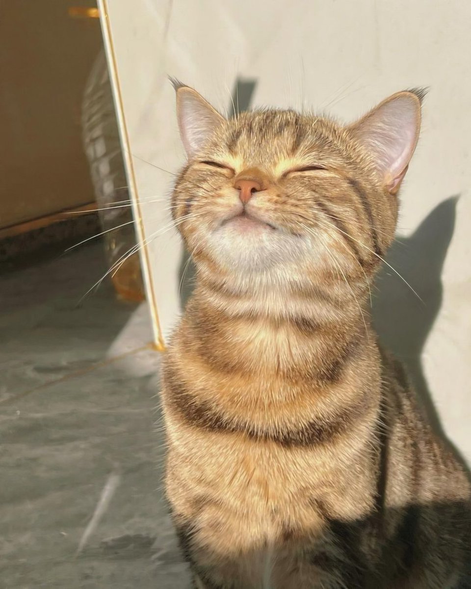 𝐁𝐄𝐒𝐈𝐃𝐄 𝐒𝐔𝐆𝐀 𝐓𝐇 🇹🇭🥢 (Slow) tweet media