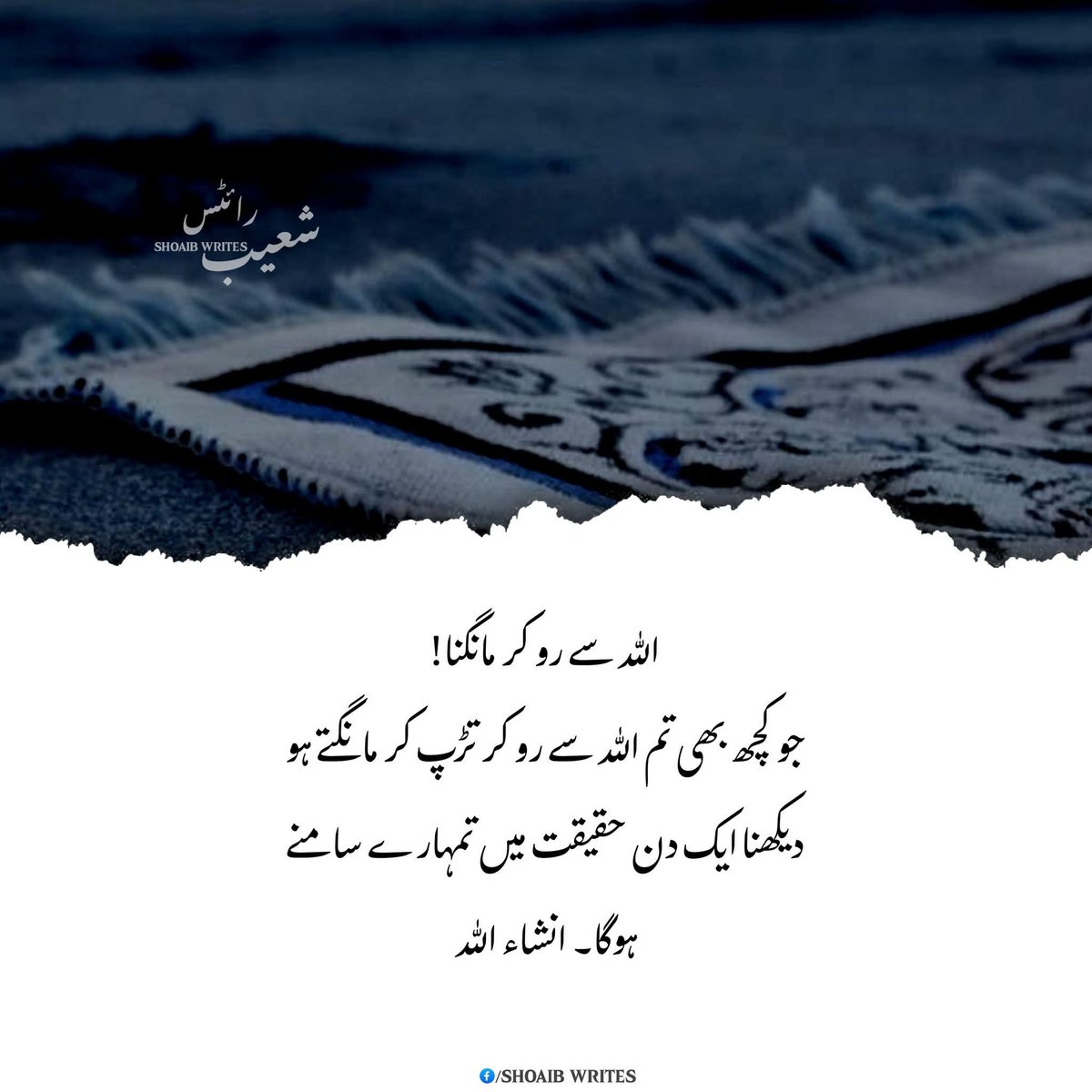 🇦🇪Ṡ A L M A 🇦🇪 tweet media