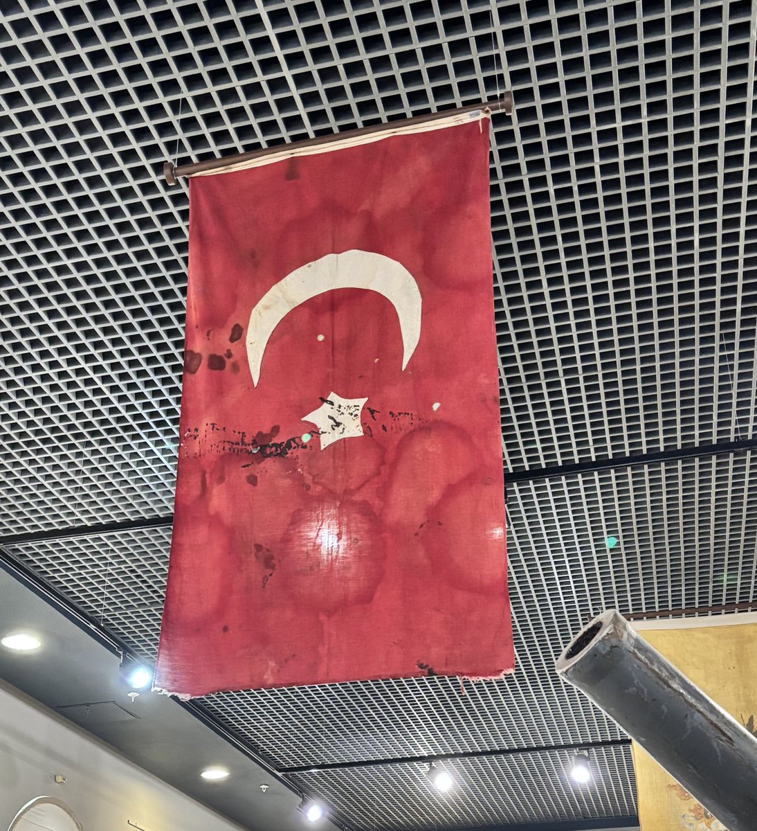 Münevver Yıldırım tweet media