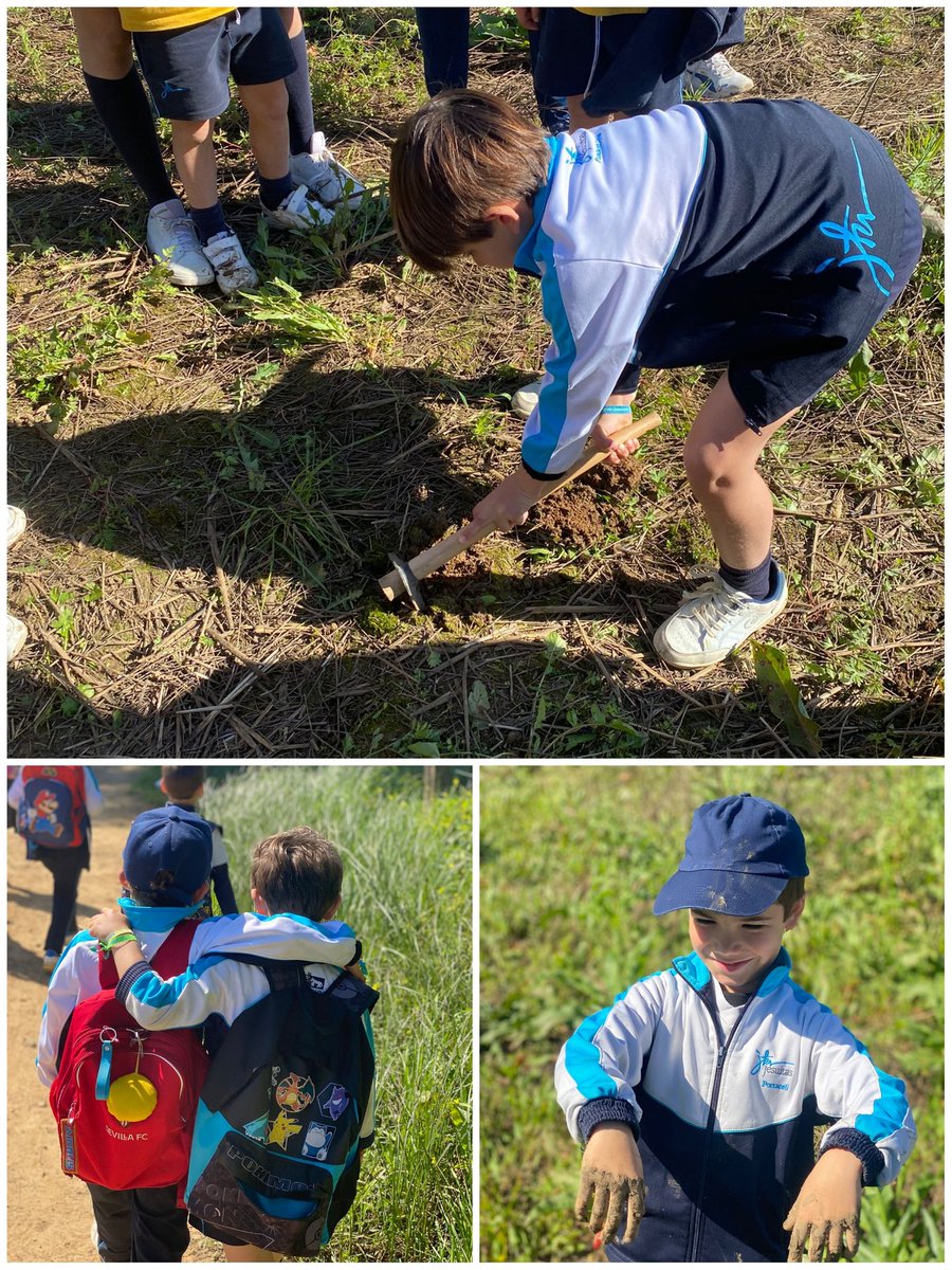 ColePortaceli tweet media