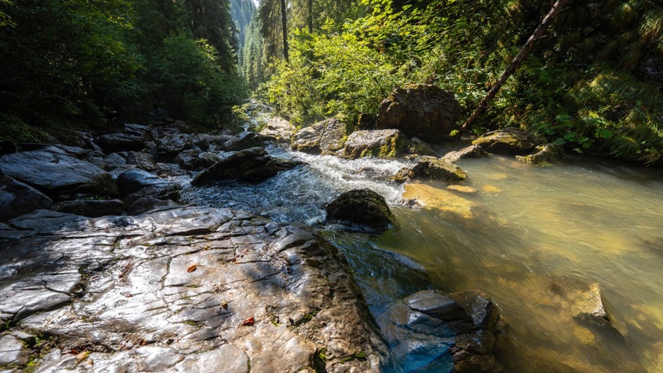 OUR HOUSE tweet media