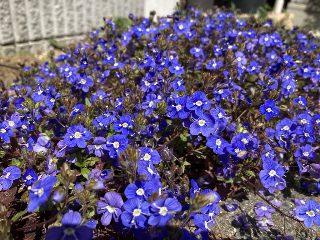 株式会社 バンガードシステムズ【公式】 モーター制御/電ドラ/テーピング【所沢と相模原からお届け】 tweet media