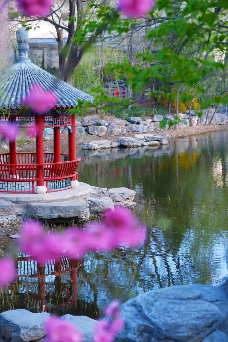 Presidential Forum tweet media