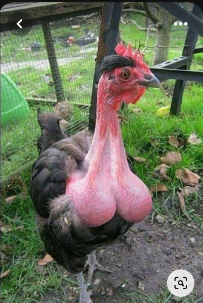 🌹𝐃𝐚𝐯𝐞𝐥𝐞𝐱𝐲𝟎𝟎𝟏🦜 tweet media