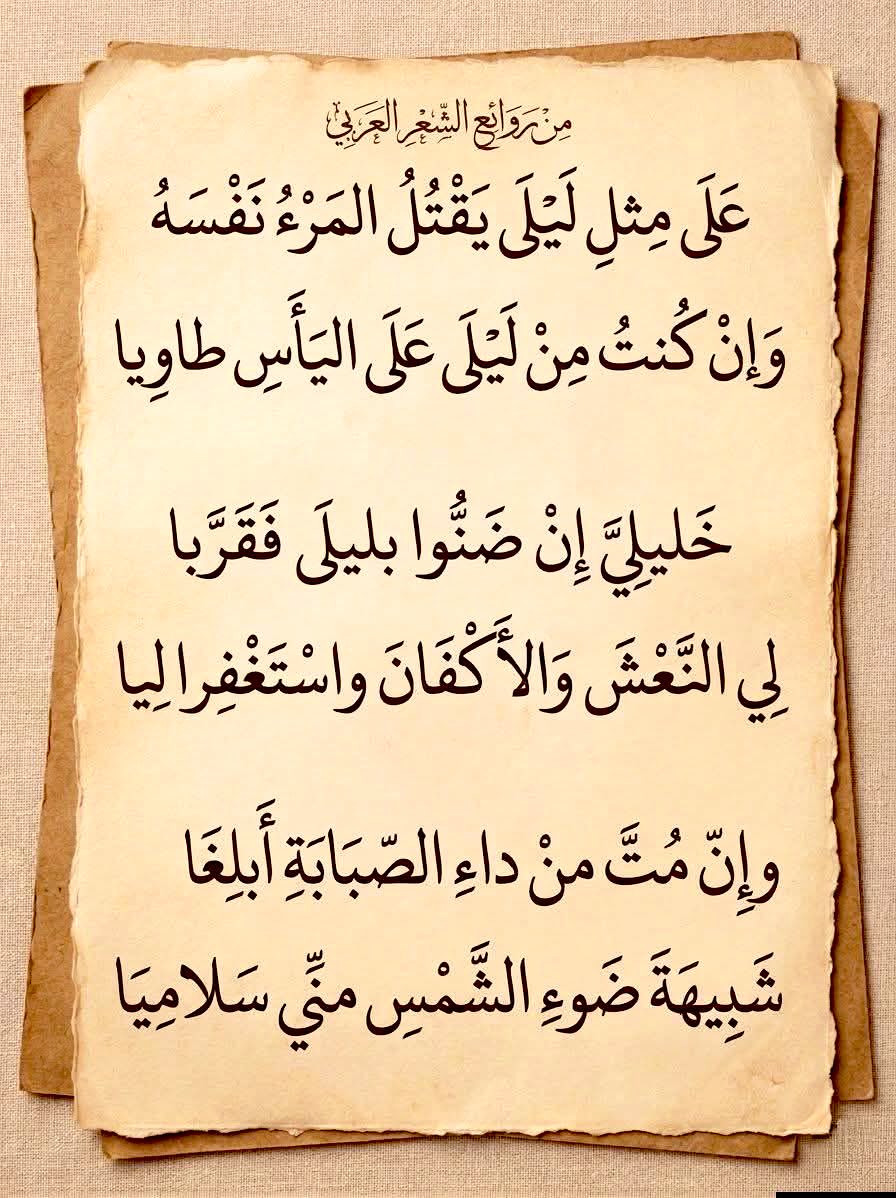 مَجَالِس أَدَبِيَّة tweet media