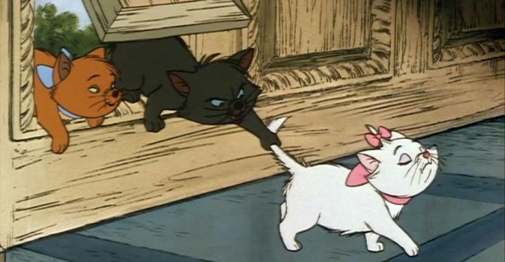 violett˚˖𓍢ִ໋🦢˚ tweet media