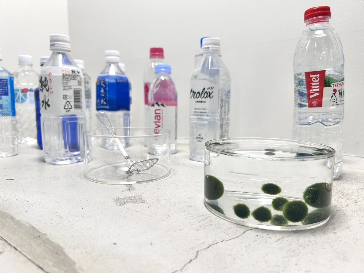 gallery αM tweet media