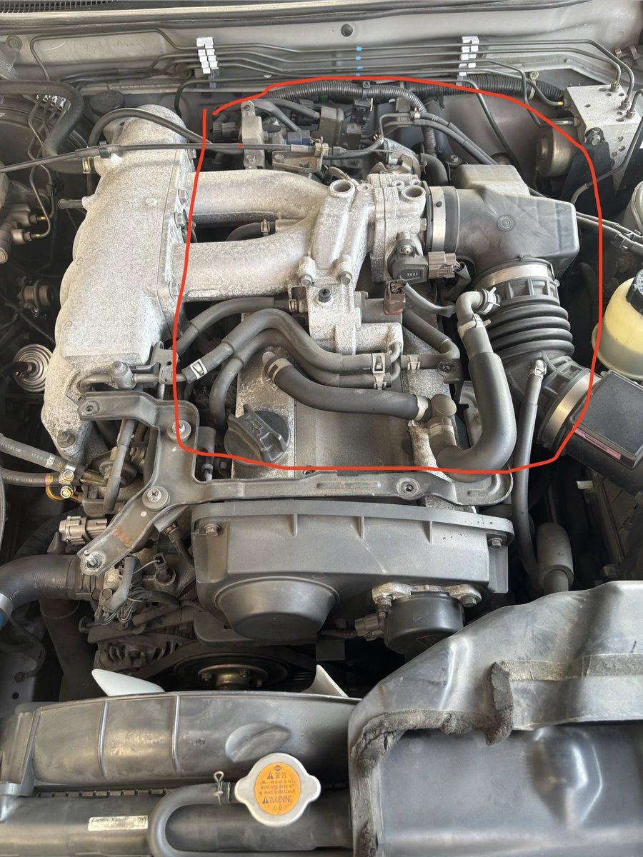 苔抹茶 tweet media