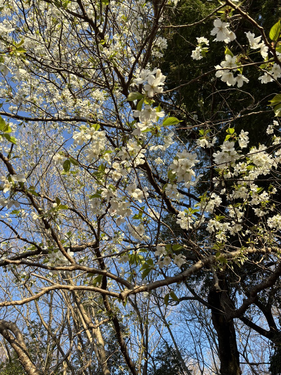 よれcamping tweet media