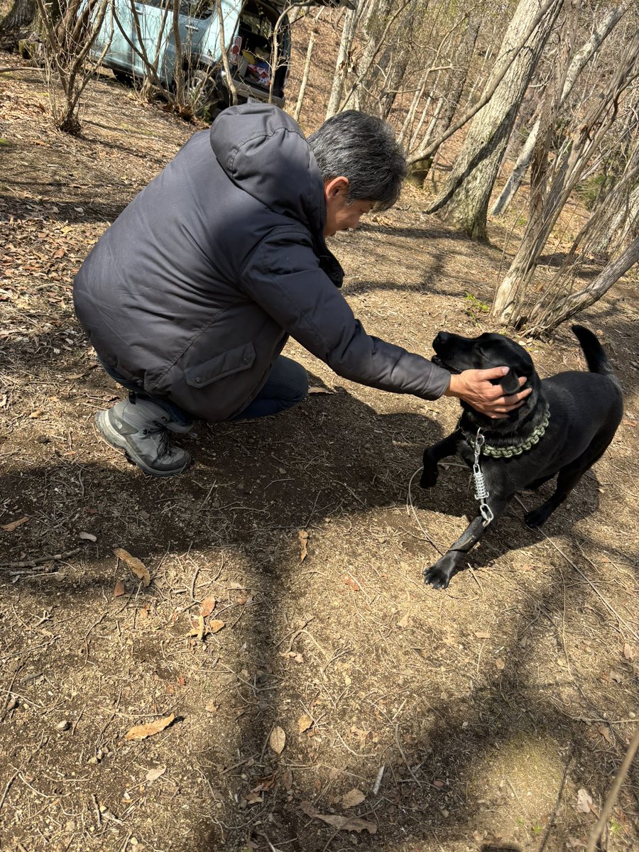 よれcamping tweet media