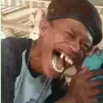 Habo Dafyn Brooke tweet media