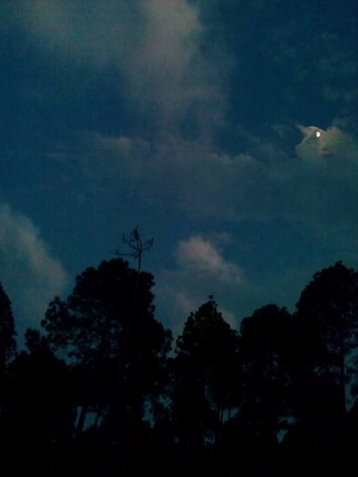 Vic_k_ey's tweet image. A beauty to absorb...

#GoodNoon #Pals 🌄🍀🐦
Wishing you a beautiful #Tuesday 
Warmest regards 🌲🌹🙏

#IncredibleIndia 🇮🇳- Miraculous sky and the half moon over Ranikhet, #देवभूमि #Uttarakhand...