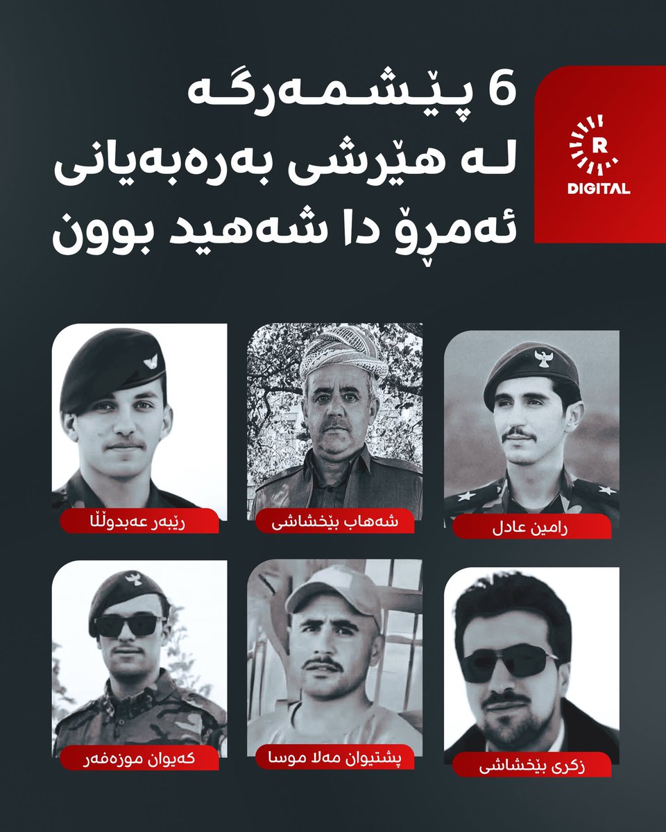 Behnam Zarei tweet media