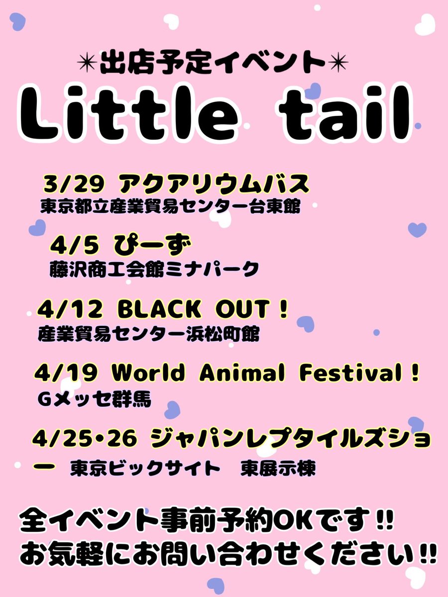 ペットショップLittletail（リトルテール） tweet media