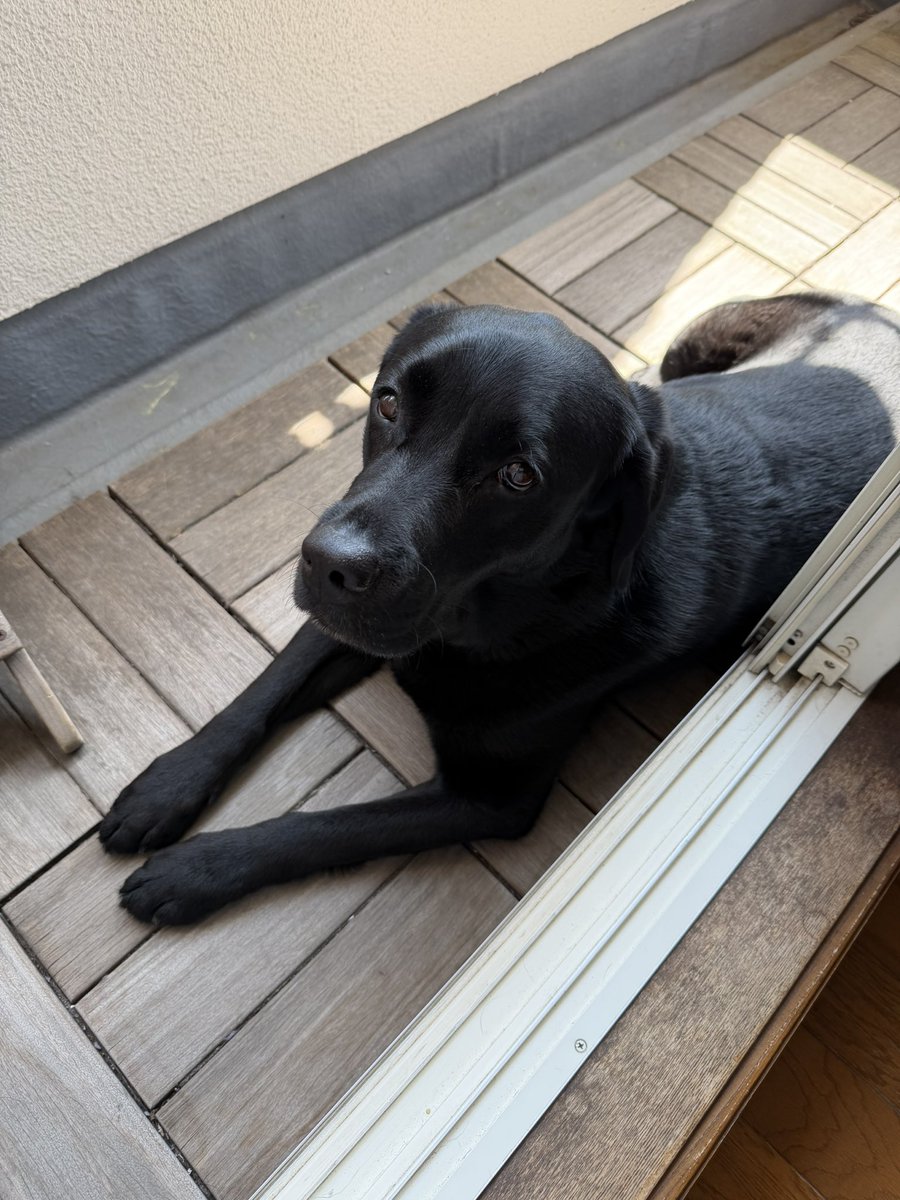 花粉がだんだん落ち着いて来ましたね🥺🌸