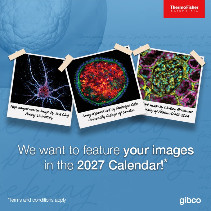 Gibco Cell Culture tweet media