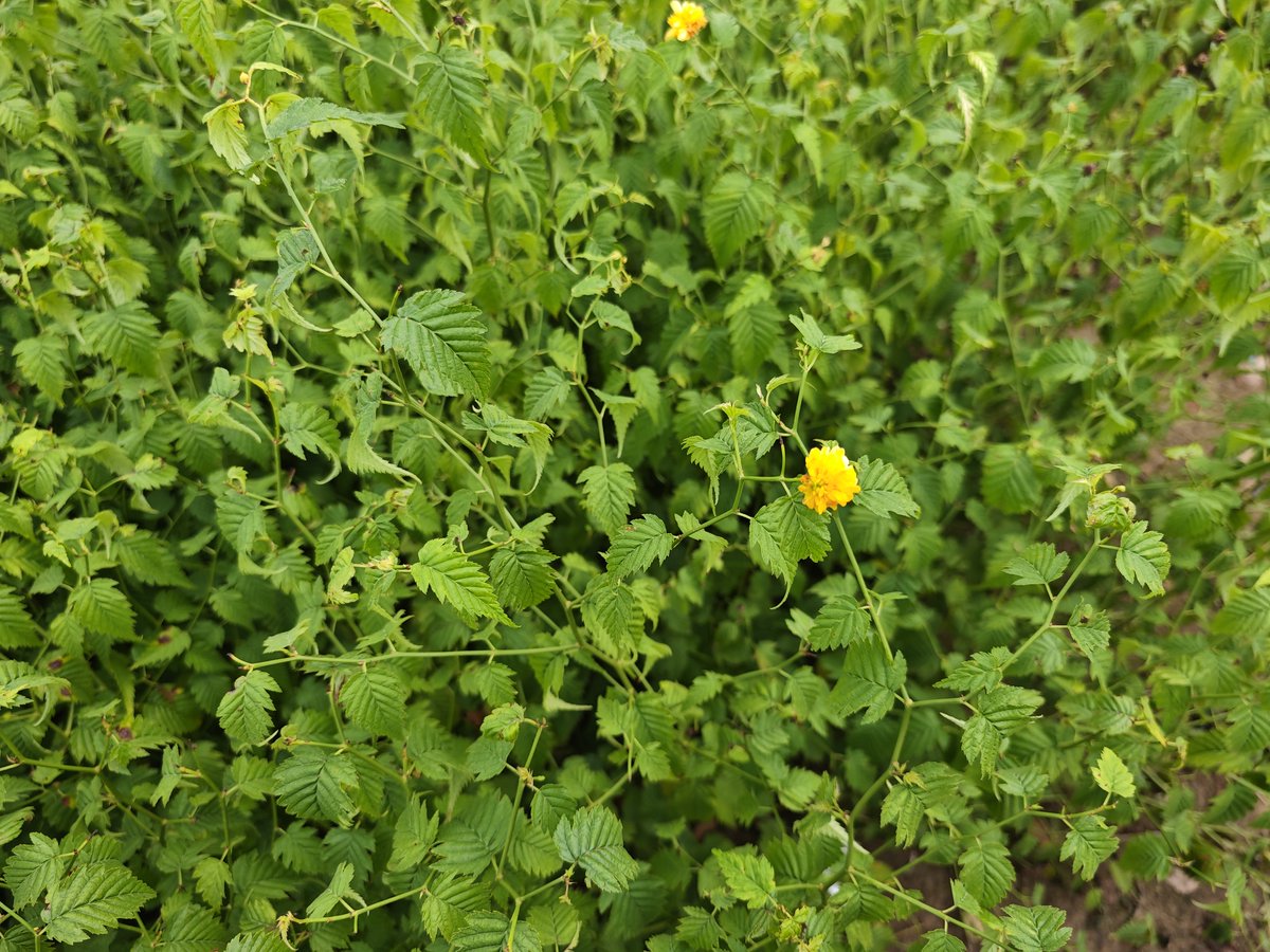 Cindi Cruey tweet media