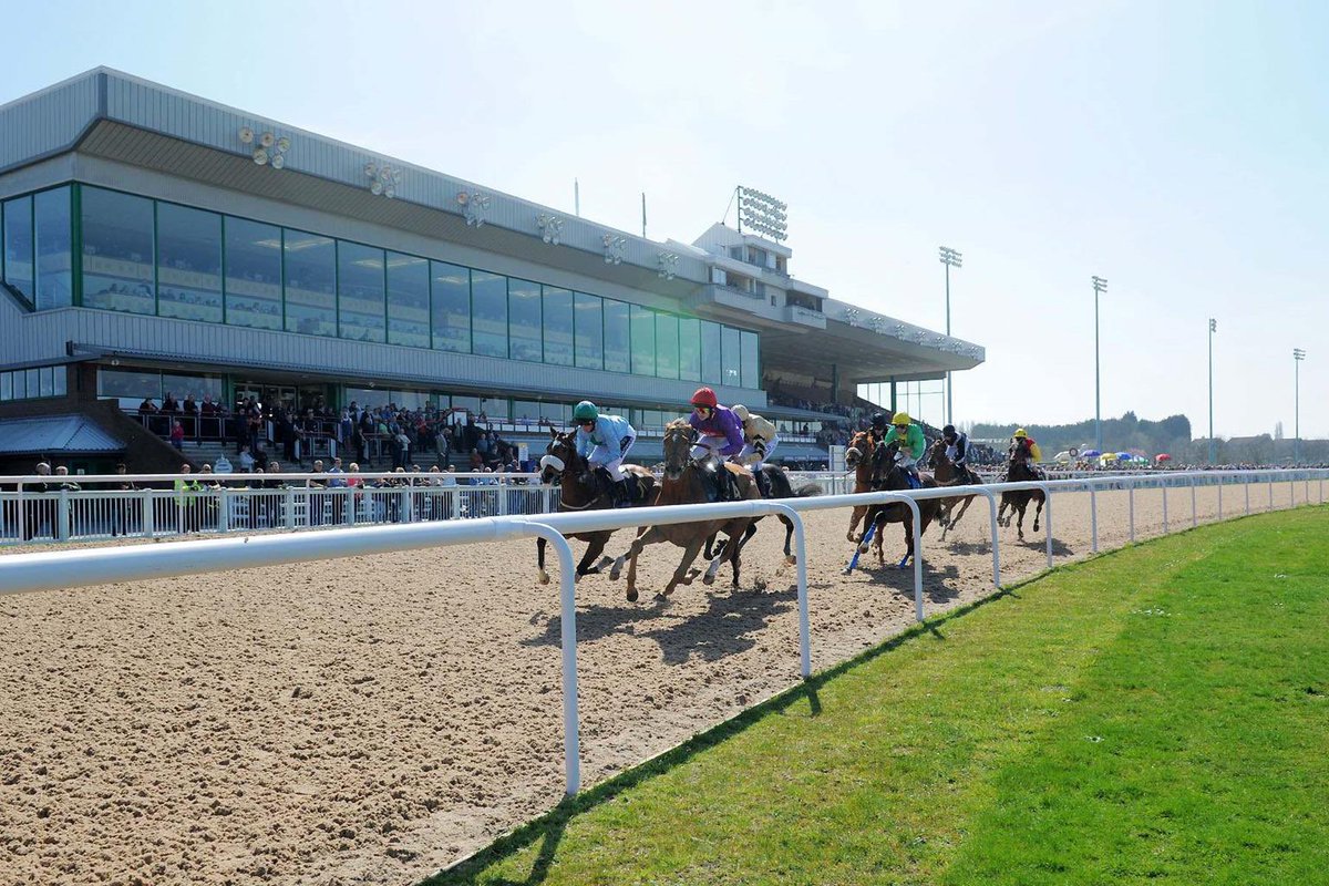 ProLineTips tweet media