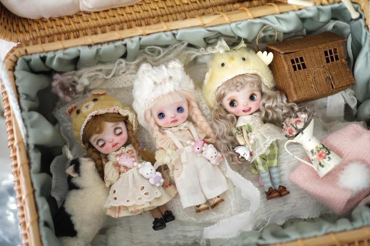 Mr. Hoffmann's Toy Box-2026.5.17 & 11.22 tweet media